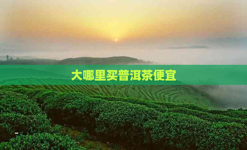 大哪里买普洱茶便宜