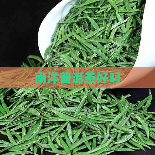 南洋普洱茶好吗