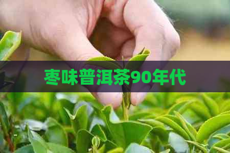 枣味普洱茶90年代