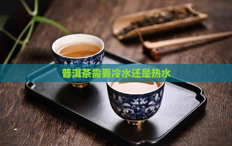 普洱茶需要冷水还是热水