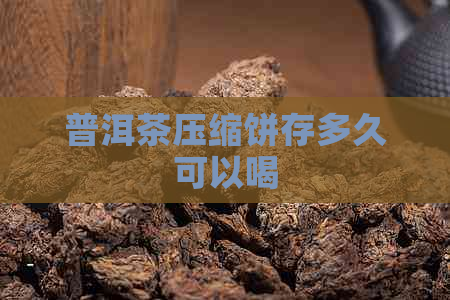 普洱茶压缩饼存多久可以喝