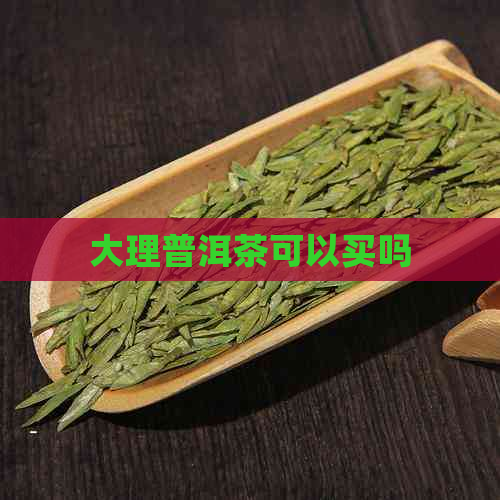 大理普洱茶可以买吗