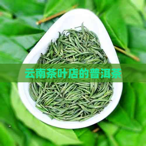 云南茶叶店的普洱茶