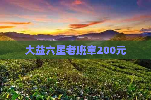 大益六星老班章200元