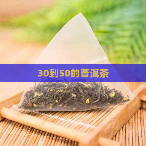 30到50的普洱茶