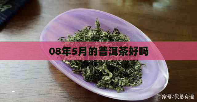 08年5月的普洱茶好吗