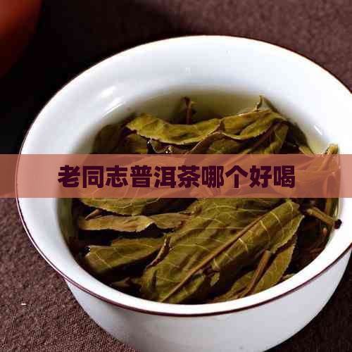 老同志普洱茶哪个好喝