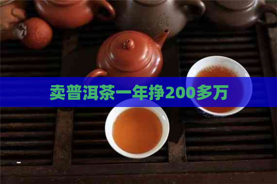 卖普洱茶一年挣200多万