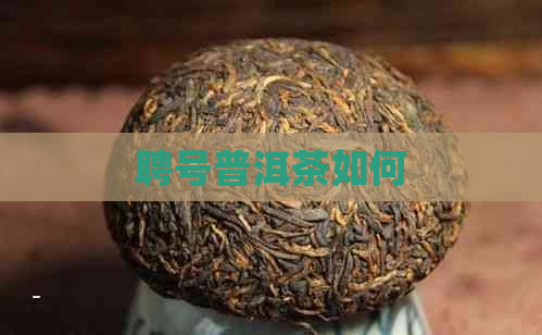 聘号普洱茶如何