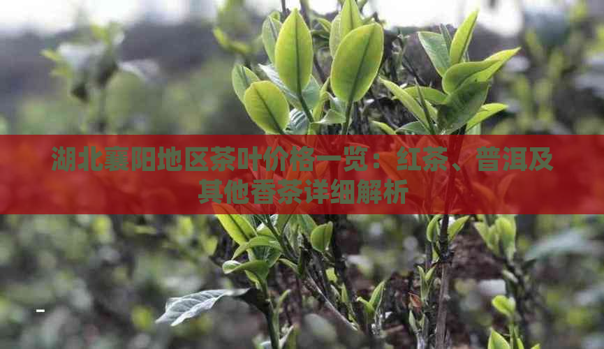 湖北襄阳地区茶叶价格一览：红茶、普洱及其他香茶详细解析