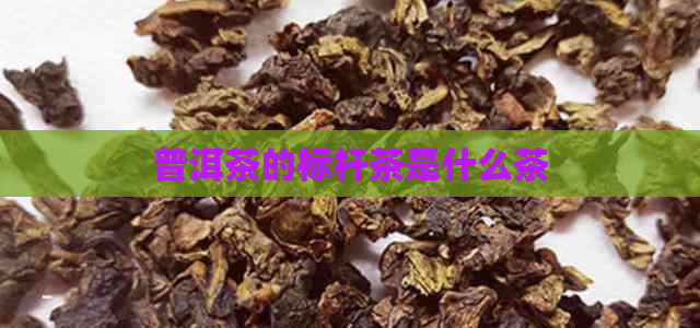 普洱茶的标杆茶是什么茶