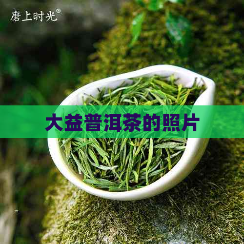 大益普洱茶的照片