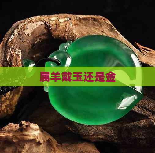 属羊戴玉还是金