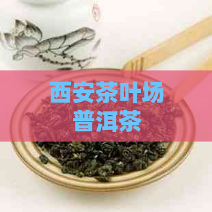 西安茶叶场普洱茶