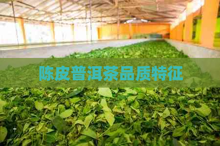 陈皮普洱茶品质特征