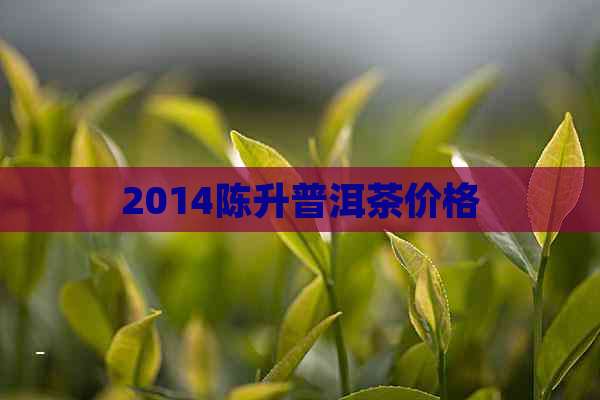 2014陈升普洱茶价格