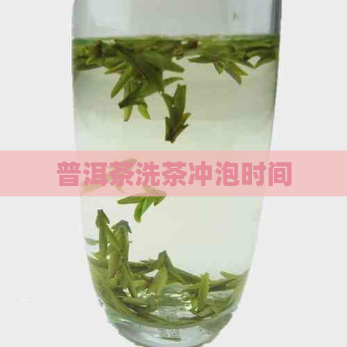 普洱茶洗茶冲泡时间