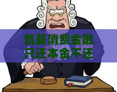 凯基消费金融只还本金不还本息如何影响借款人