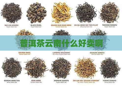 普洱茶云南什么好卖啊