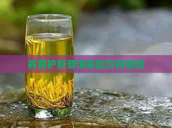 养胃护肝普洱茶配方有哪些