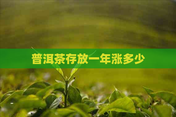 普洱茶存放一年涨多少