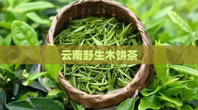 云南野生木饼茶