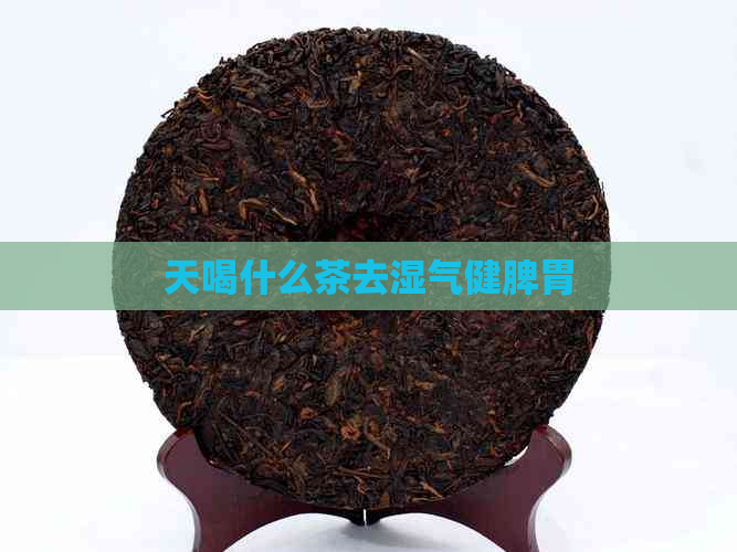 天喝什么茶去湿气健脾胃