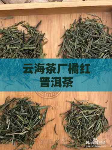 云海茶厂橘红普洱茶