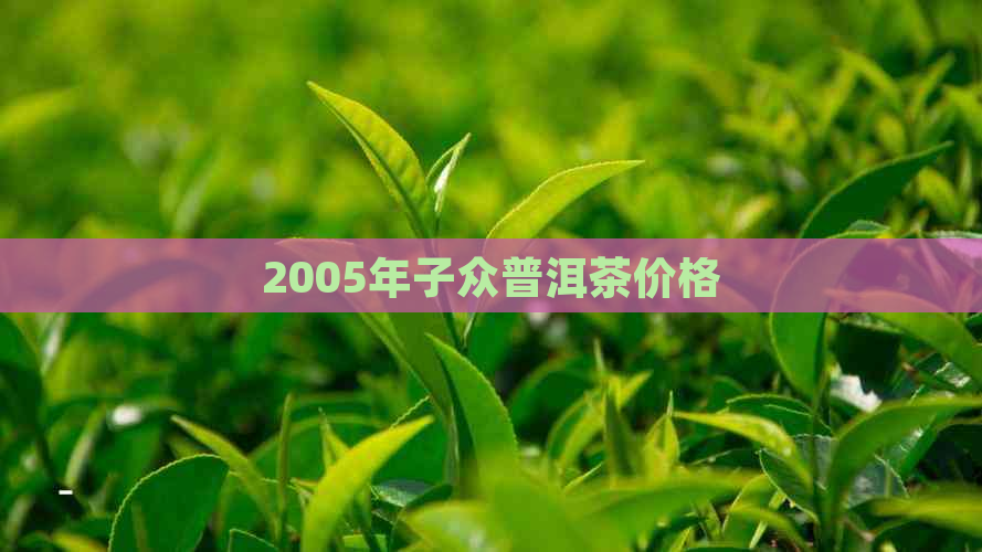 2005年子众普洱茶价格