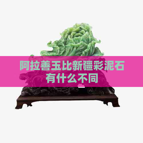 阿拉善玉比新疆彩泥石有什么不同