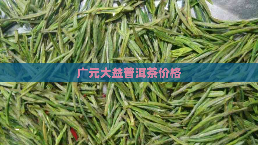 广元大益普洱茶价格