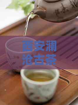 西安澜沧古茶普洱茶