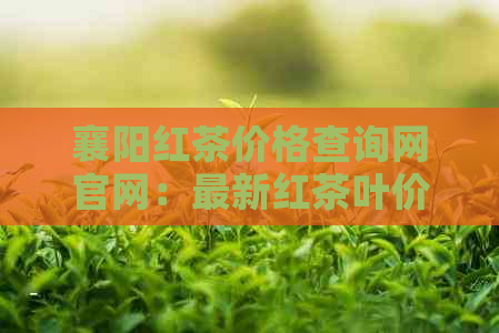 襄阳红茶价格查询网官网：最新红茶叶价格，红红茶价钱