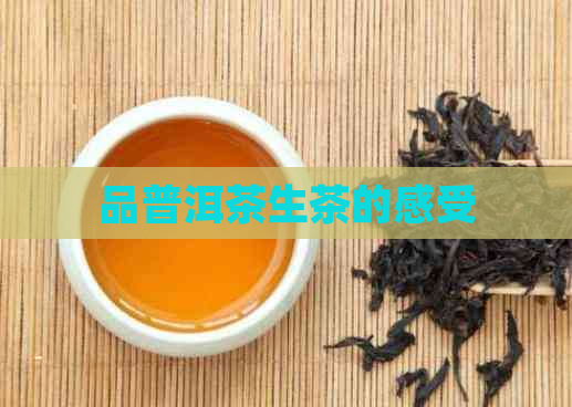 品普洱茶生茶的感受