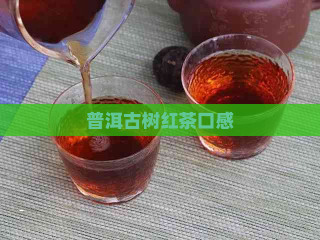 普洱古树红茶口感