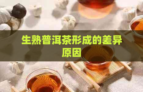 生熟普洱茶形成的差异原因