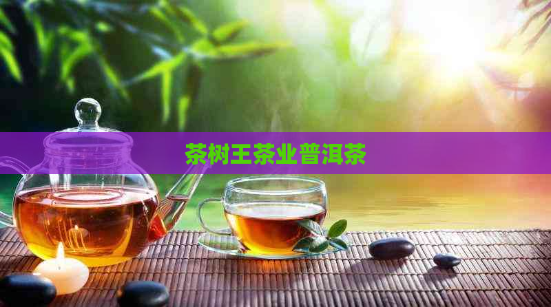 茶树王茶业普洱茶