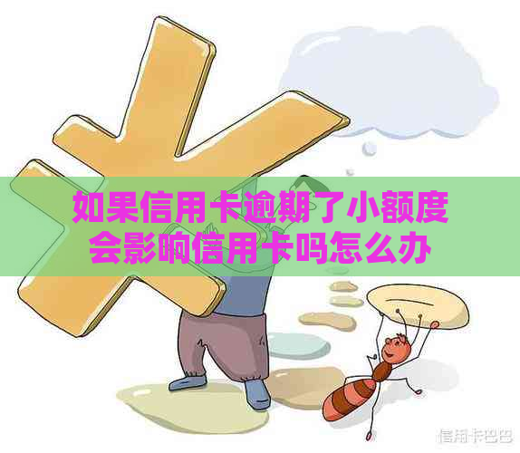 如果信用卡逾期了小额度会影响信用卡吗怎么办