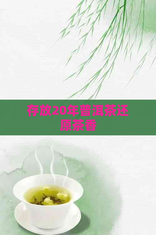 存放20年普洱茶还原茶香