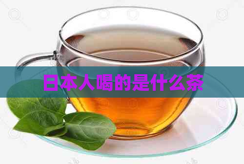 人喝的是什么茶