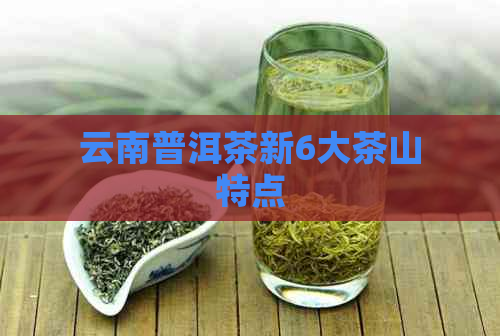 云南普洱茶新6大茶山特点