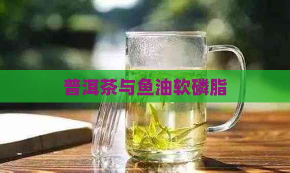 普洱茶与鱼油软磷脂