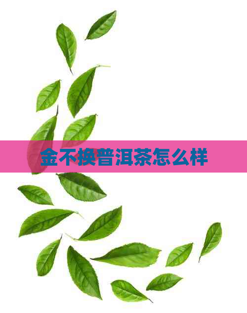 金不换普洱茶怎么样