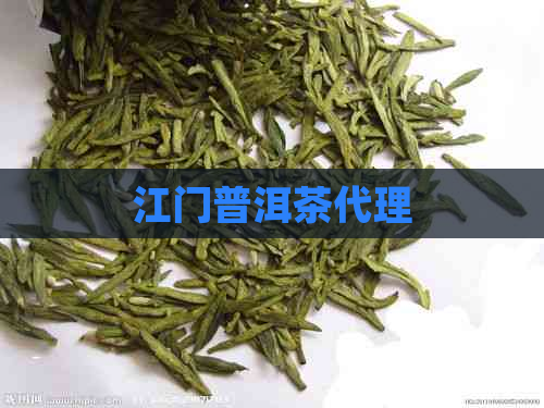 江门普洱茶代理