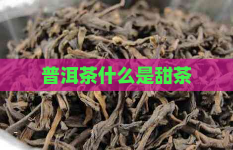 普洱茶什么是甜茶