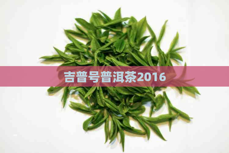 吉普号普洱茶2016