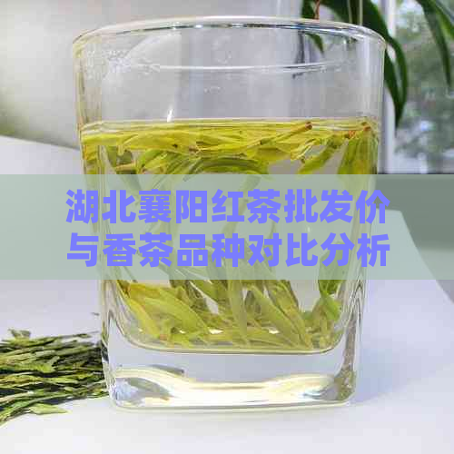 湖北襄阳红茶批发价与香茶品种对比分析