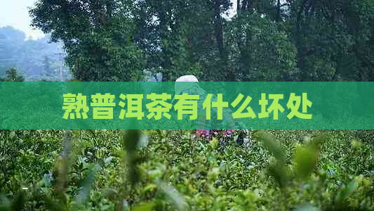 熟普洱茶有什么坏处