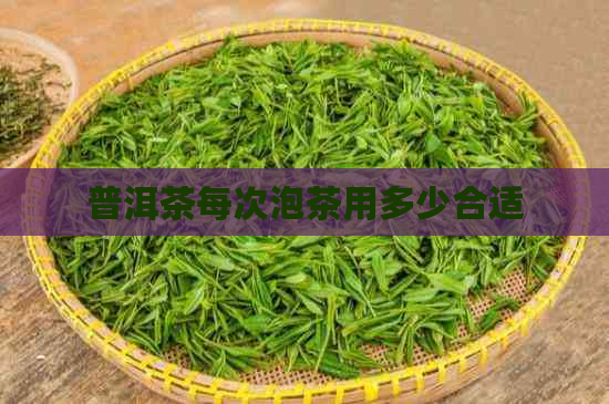 普洱茶每次泡茶用多少合适