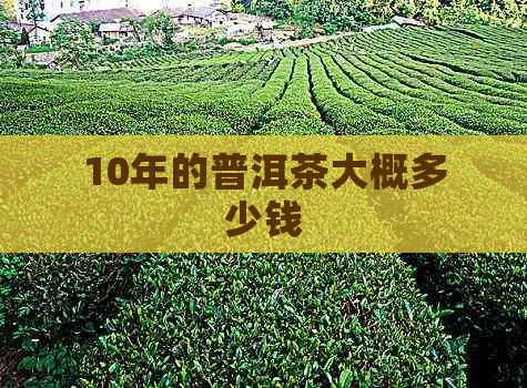 10年的普洱茶大概多少钱